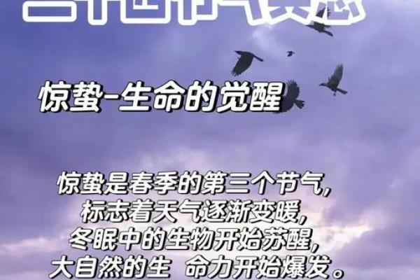 惊蛰前后出生的命理解析：如何影响人生轨迹