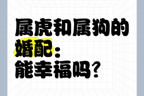 属狗的女生命理解析：聪慧坚韧，幸福常伴