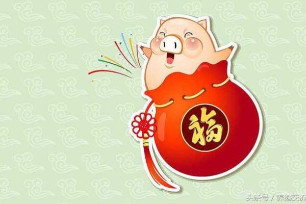 1959年是什么年？命理中的“猪”与生活的交织