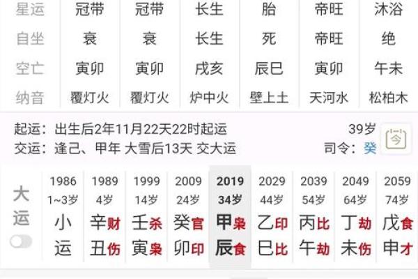 岁运岁命：探索个人命理与生活的奥秘