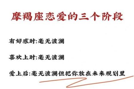 深入探索“凭命”背后的意义与运用