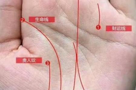 揭秘富贵手纹：哪些手纹的人注定财运亨通？
