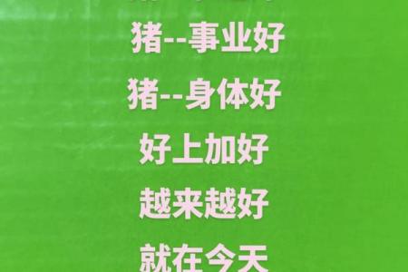 1959年是什么年？命理中的“猪”与生活的交织