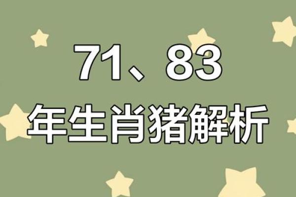 属猪女士的命运解析：温和与智慧的结合之美