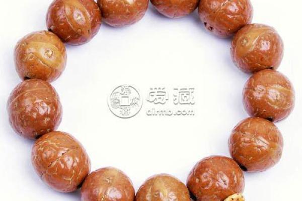 水命人士佩戴菩提的最佳选择与意义探讨