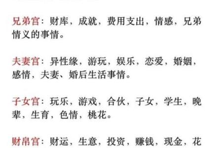 探秘出生年份与命运的关系，解读你的命格！