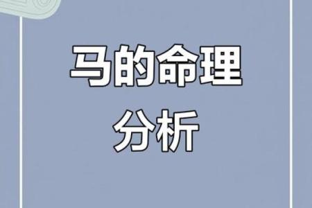 探索1954年出生的马男人，他们的命运与性格特点解析