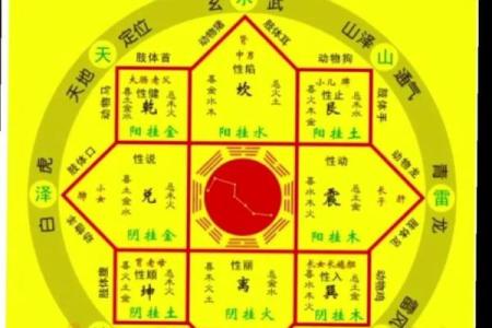 命格与脸相：破相的深层含义与看法