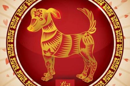 狗年出生的人生运势与性格特点分析