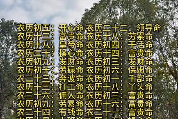 揭开1978年命卦的神秘面纱:探寻人生受益的智慧 揭开1978年命卦的神秘面纱:探寻人生受益的智慧