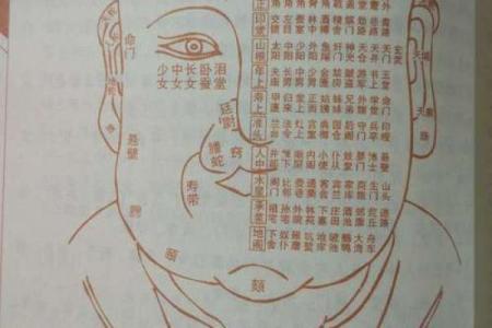 命理与面相：眉毛稀少的秘密解读与人生影响