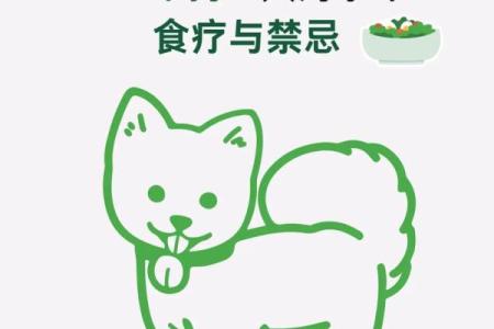 探索2018年狗年出生者的命运与性格特征