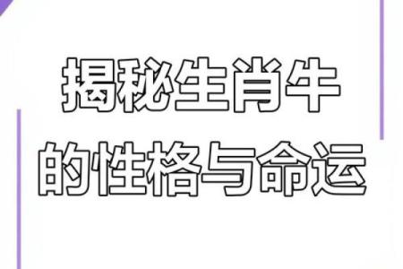 牛年命格解析：揭示你的命运与未来的秘密