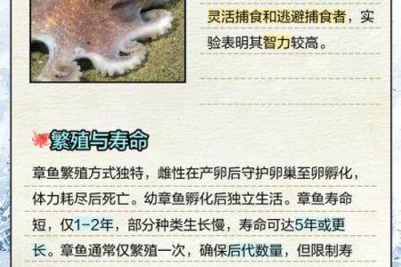 揭秘动物长命秘诀：为什么这些生物的寿命远超常规