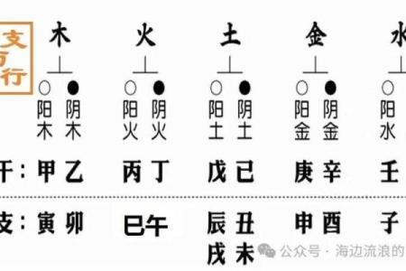 2020纳音命理解析：探索五行对命运的深刻影响与启示
