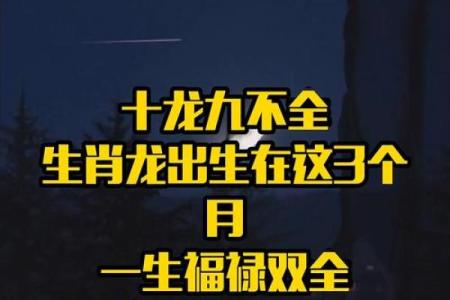 1964年出生的生肖与命运解读：揭秘属龙人的人生旅程与性格特点