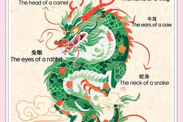2014龙年出生的命理解析与性格特点