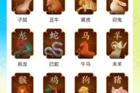 你是哪种命？探秘十二生肖的命理奥义与人生智慧！
