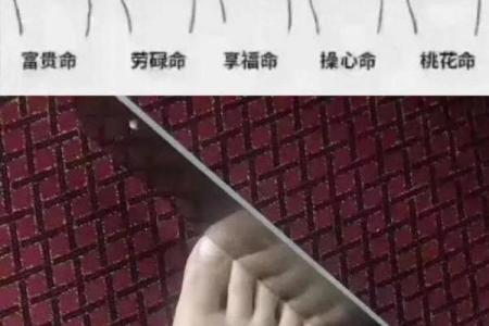 通过脚趾形状解析命运，揭示隐秘的性格与运势!