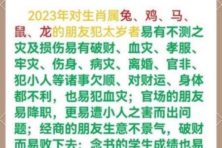 2014龙年出生的命理解析与性格特点