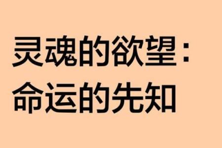 智慧与命理：研究哪些命理特征标志着聪明的灵魂？