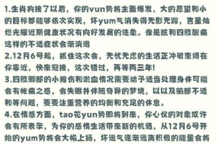 2022年生肖运势解析：如何把握机遇与挑战，提升个人运势！