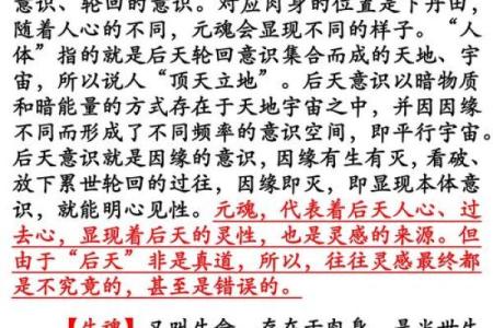 探究“要血命”的深刻含义与文化内涵