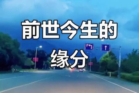 揭秘前世命运：免费占卜带你了解前生的秘密
