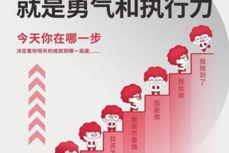 理解“安排”与“命”的深刻含义，助你更好地规划人生