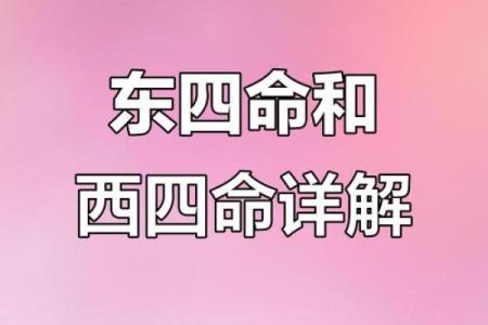 2006年命卦解析：揭示命运的奥秘与人生智慧