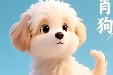 属狗人出生年月对应命运解析，教你如何把握人生机遇！