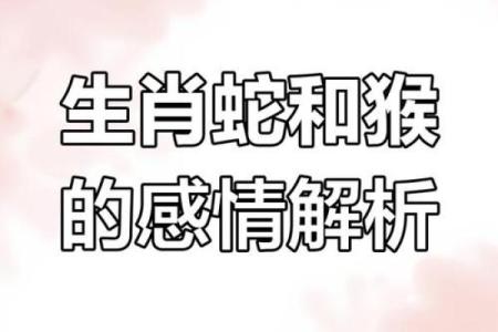 92年属猴的朋友：金命与水命的解析与缺失之谜