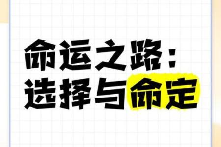 “什么车就是什么命”：解读生活中的选择与命运