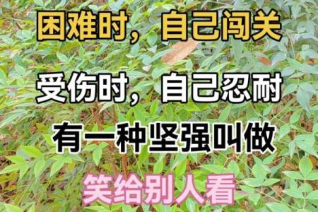 为何命运安排我们远离享福？探寻背后的深意与启示