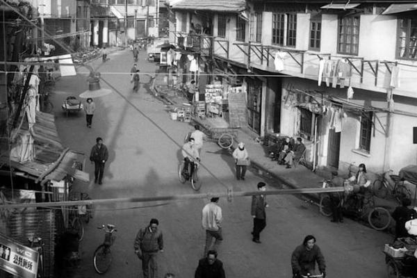 1993年的记忆：一场科技与文化的交汇之旅