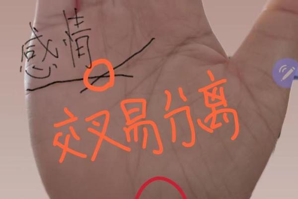 小肚长红痣的命理解析：深藏的秘密与命运指南