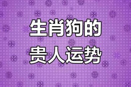 2018年生肖狗：忠诚与勇敢的象征，带你解析命运与性格