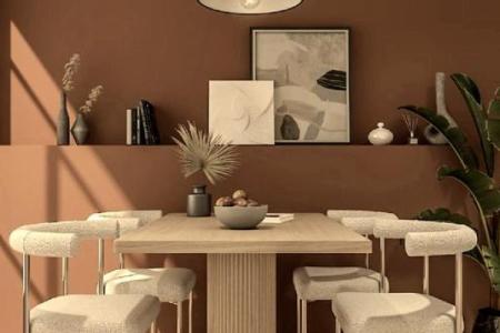 土命人的家居色彩之道：让家园焕发生命力与温馨感