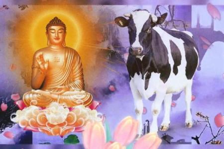 73年属牛的命运解析：解锁人生成功的秘密！
