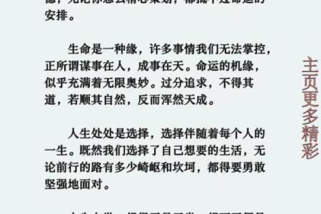 男生骨重3.1，命理解析与人生启示：你的命运由此开始！