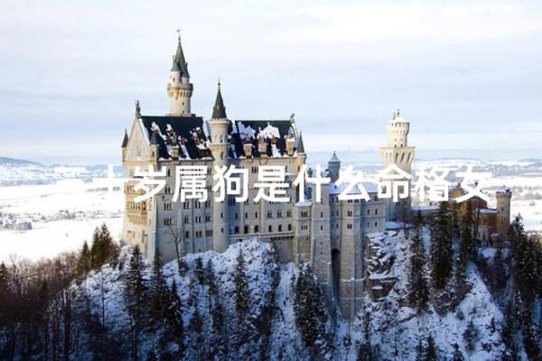 2014年出生的孩子命格分析：探索他们未来的机遇与挑战