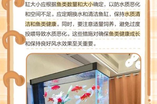 火命人如何选择鱼缸颜色，让财运滚滚而来！