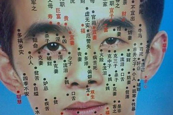 探索1949年出生的命理之谜：你属于哪种命？