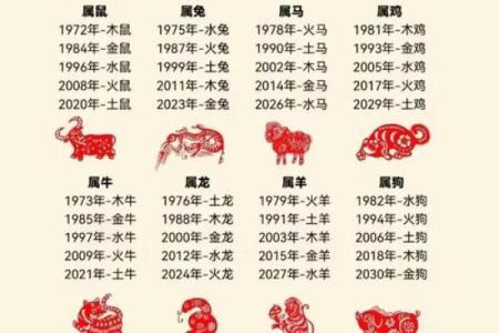 2001年开始的命运走向：生肖与五行的奥秘探寻