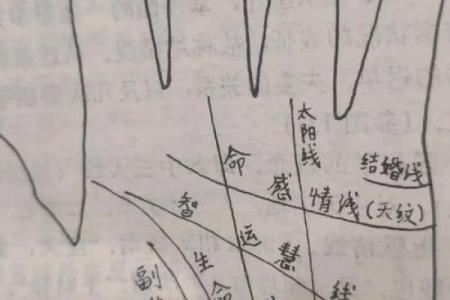 女生手掌纹理解析:揭示命运与性格的深层密码