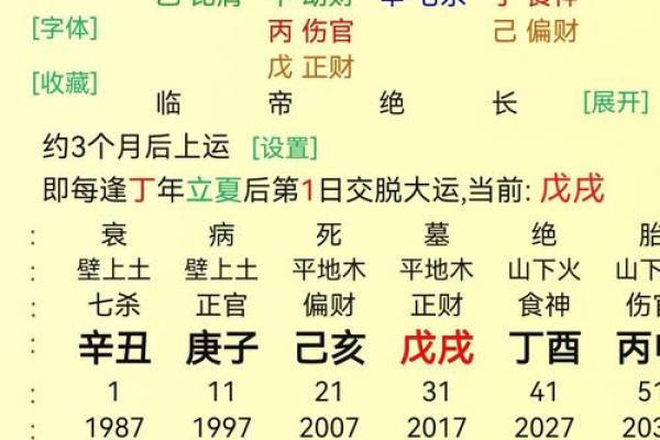 丁卯炉中火命理解析：探讨适合的命局与人生方向