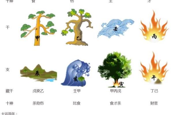 甲木命适合什么数字?探寻生命中的幸运之数! 甲木命适合什么数字?探寻生命中的幸运之数!