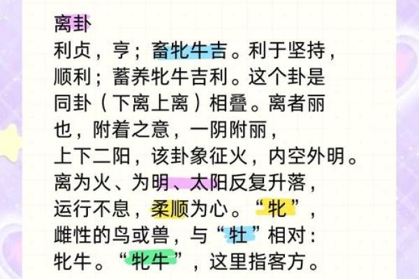 离卦命与乾卦命的区别：解码命理中的两种智慧