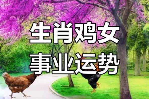 属鸡水命的人颜色选择:如何搭配搭配出最旺的运势? 属鸡水命的人颜色选择:如何搭配搭配出最旺的运势?