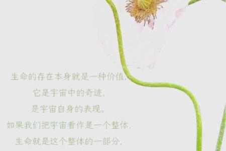 生命的意义：我们能否超越16岁的思维界限？